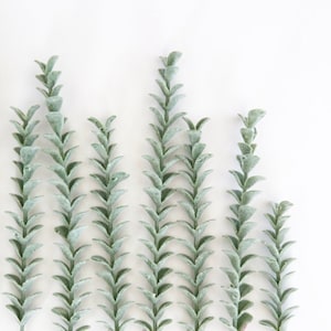 Flocked Sedum/Jade in Frosted Green Gray CHOOSE pieces or long stem - faux succulents, artificial succulents, artificial sedum
