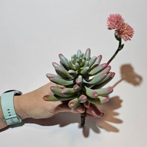 Beautiful Artificial Sedum Pachyphyllum (Jelly Bean) in Green/Gray Pink - Fake Succulent, Faux Succulent, Artificial Flowers - ITEM 1597