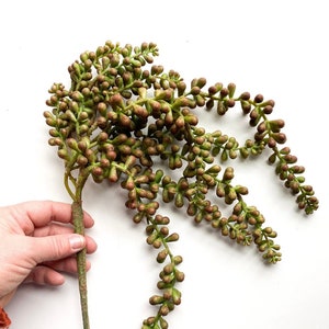 Fake Succulents - Donkey Tail, Hanging Sedum Stonecrop Succulent Pick in Burgundy Green - Succulent, Artificial Flowers - ITEM 1635