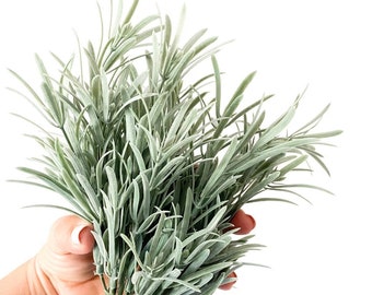 May include: A bunch of artificial green leafy stems with a slightly silvery hue.