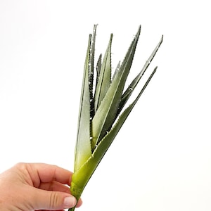 Fake Succulents - ONE Dark Green Aloe Cactus Succulent - Aloe, Succulent, Succulents, Artificial Flowers - ITEM 1593