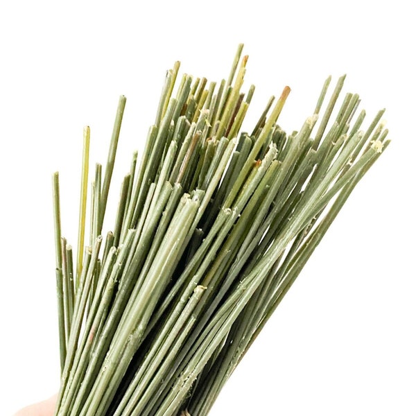 10 DIY Pre-Cut Artificial Stems - 10-13 inches - Make your own Bouquet Floral Arrangement Artificial Flower Wire Stems - ITEM 01707