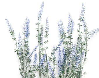 12 Artificial Lavender Stems in Periwinkle Blue - 18" Stems - Artificial Flowers - Fake Lavender - ITEM 01644