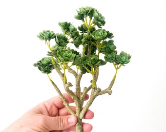 Fake succulents - Real Touch Artificial Mini Sedum Succulent Tree in Fresh Green - Succulent, Succulents, Artificial Succulent - ITEM 1603