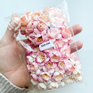 50 Kirschblüten-Maulbeerpapierblumen, WÄHLEN SIE Pfirsich/Rosa-Mix oder Pink-Champagne - Papier-Kirschblüten, Papierblumen, weiß, rosa