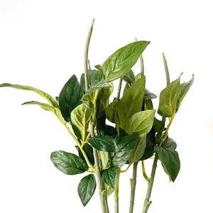 ONE 26 Inch Peony Floral Stem - Floral Arrangement Supply - ITEM 1757