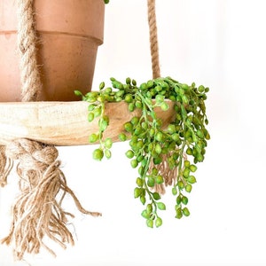 Artificial String of Pearl in Two Tone Green - Faux String of Pearls- Artificial Succulent - ITEM 1644
