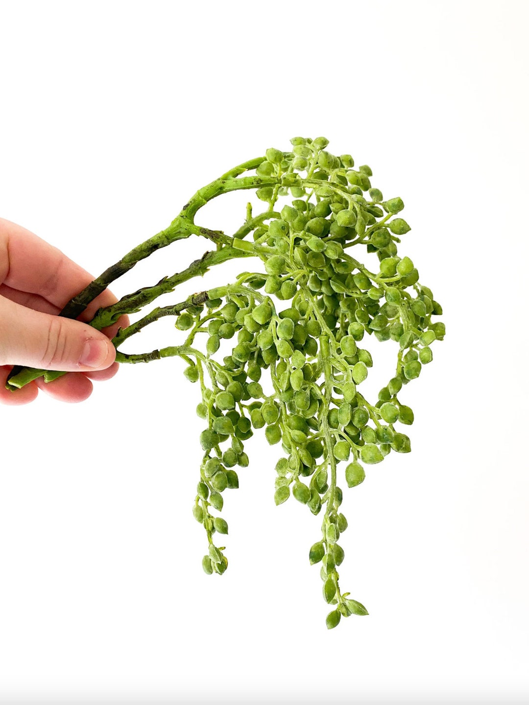 Artificial String of Pearl in Frosted Green Faux String of Pearls