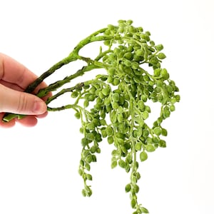 Artificial String of Pearl in Frosted Green - Faux String of Pearls- Artificial Succulent - ITEM 01595