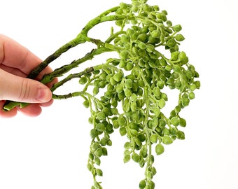 Artificial String of Pearl in Frosted Green - Artificial Succulent