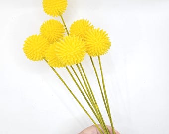 May include: A bunch of yellow dried billy balls with green stems.