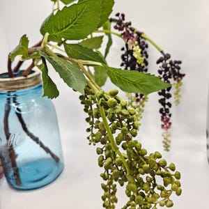 Hanging Pokeberry Stems in Green or Purple - Filler, Wall Hanging, Decor - Artificial Berries, Dried Berries