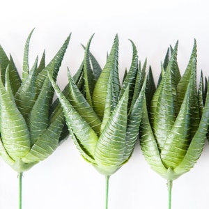 One Green Aloe Haworthia Cactus Succulent - Aloe, Cactus, Succulent, Succulents, Artificial Flowers - ITEM 1664