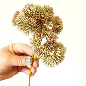 以下が含まれることがあります： 緑とピンクの花が咲いた人工多肉植物の束。茎は黄色で、花は集まって咲いています。