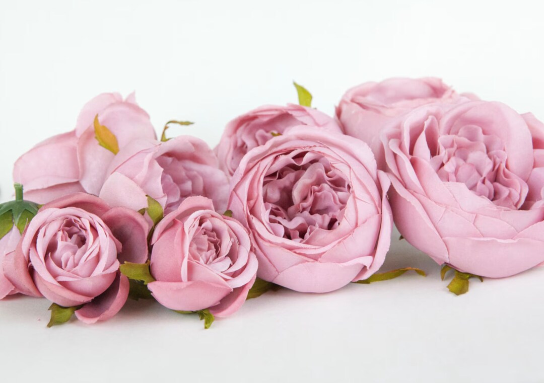 Set of 9 Small to Large Cabbage Roses in Antique Shabby Chic Mauve Pink ...