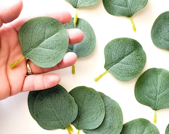 May include: A collection of round, green eucalyptus leaves with yellow stems scattered on a white background.