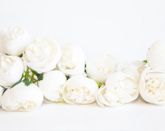 12 mini pivoines blanches - ARTICLE 1506