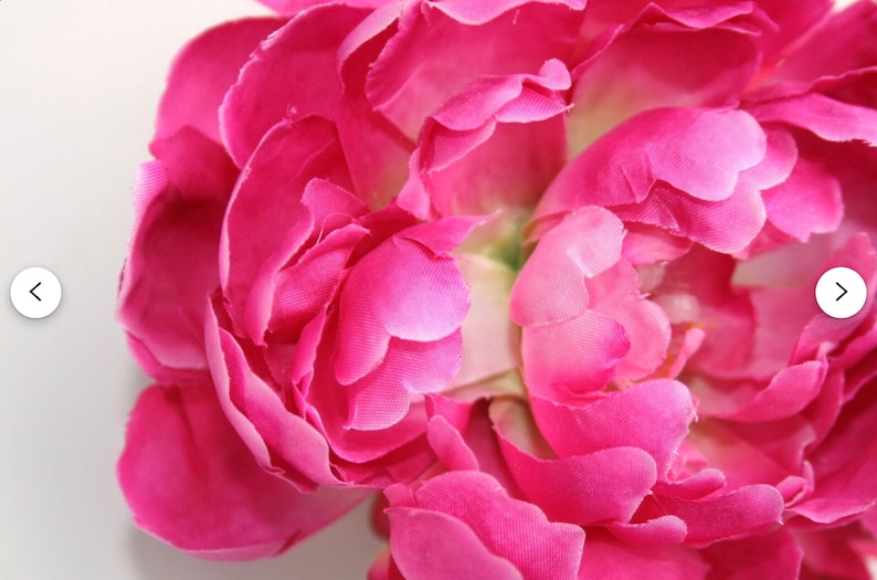 Peut inclure: Gros plan sur une pivoine rose vif avec de multiples couches de p&eacute;tales.