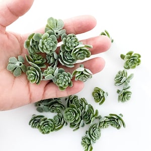 May include: A collection of small, green, felt succulent plant decorations. The succulents are arranged in a hand, with some scattered on a white surface.