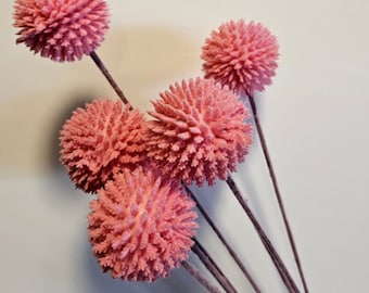 7 Adorable Billy Button Balls - Pink - 1721
