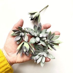 Fake Succulents - Artificial Agave Succulent - 6 Sedum Succulents on Short Stems - Succulent, Succulents, Artificial Flowers - ITEM 1623