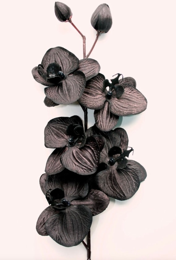 16 Inch Artificial Black Orchid Stem Spray with 5 Orchids plus Buds - ITEM 0168