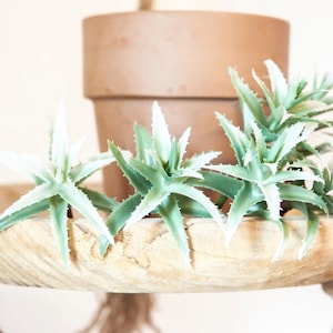 7 Cactus Succulents in Green and White - Budget Quality - Artificial Succulents, Faux Succulents - ITEM 1612