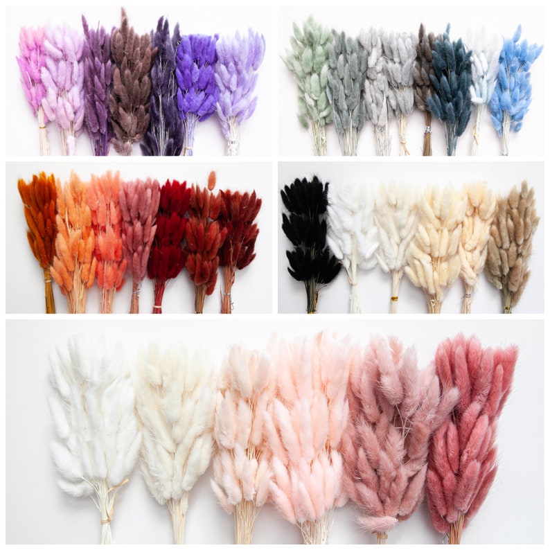 May include: Assortment of dried bunny tail grass in various colors, including white, pink, peach, red, orange, brown, gray, blue, purple, and black. The dried grass is arranged in bundles and displayed on a white background.