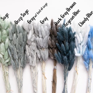 May include: A bouquet of dried pampas grass in eight different colors: sage, deep sage, gray with a tint of sage, gray, dark gray brown, Aegean blue, cloudy blue, and sky blue.