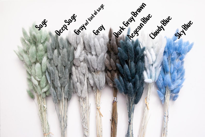 May include: A bouquet of dried pampas grass in eight different colors: sage, deep sage, gray with a tint of sage, gray, dark gray brown, Aegean blue, cloudy blue, and sky blue.
