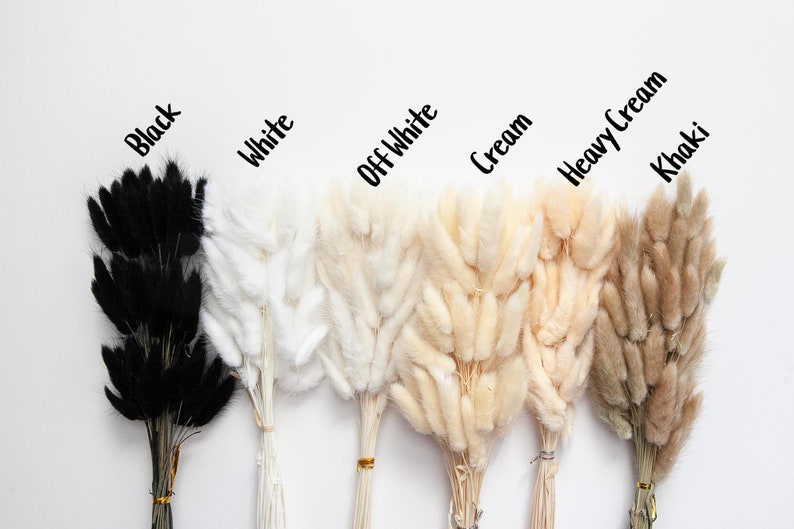 May include: Six bundles of dried pampas grass in various shades of cream, white, and black. The bundles are labeled "Black", "White", "Off White", "Cream", "Heavy Cream", and "Khaki".