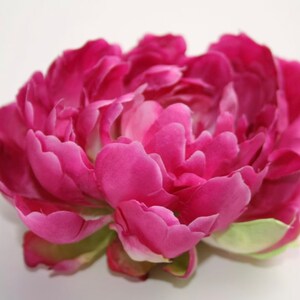 Peut inclure: Une seule grande fleur de pivoine rose avec de multiples couches de p&eacute;tales. La fleur est en pleine floraison et a une texture d&eacute;licate et douce.