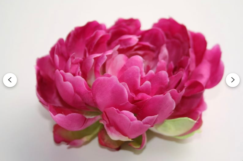 Peut inclure: Une seule grande fleur de pivoine rose avec de multiples couches de p&eacute;tales. La fleur est en pleine floraison et a une texture d&eacute;licate et douce.