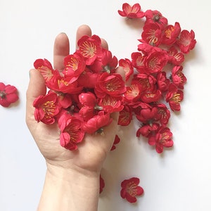 赤い小さな桜 50 個 - 説明を読む - 造花 - 赤い花 - アイテム 1742