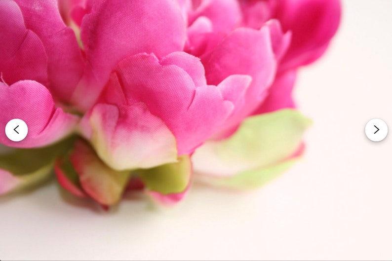 Peut inclure: Gros plan sur une fleur de pivoine rose aux p&eacute;tales doux. La fleur est nette, tandis que l'arri&egrave;re-plan est flou.
