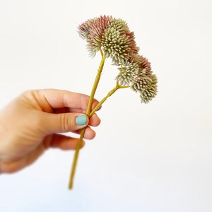 以下が含まれることがあります： 緑とピンクのふわふわした花頭を持つ、人工の花の茎が3本束ねられたブーケ。茎は薄い茶色です。