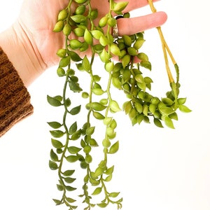 Artificial String of Pearl in Green Tones - Faux String of Pearls- Artificial Succulent - ITEM 1656