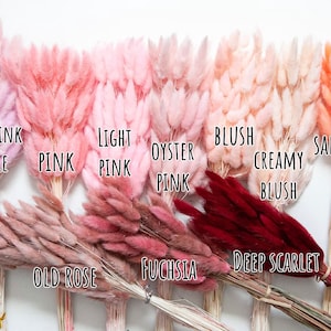 May include: Dried pampas grass in a variety of pink and red hues, including light pink purple, pink, light pink, oyster pink, blush creamy blush, salmon, old rose, fuchsia, and deep scarlet.