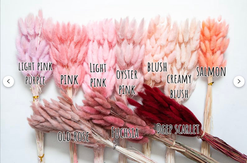 May include: Dried pampas grass in a variety of pink and red hues, including light pink purple, pink, light pink, oyster pink, blush creamy blush, salmon, old rose, fuchsia, and deep scarlet.