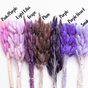 May include: Seven bundles of dried bunny tail grass in various shades of purple, pink, and brown. The bundles are labeled with the colors: Pink/Purple, Light Lilac, Grape, Plum, Purple, Purple Heart, and Smokey Amethyst.