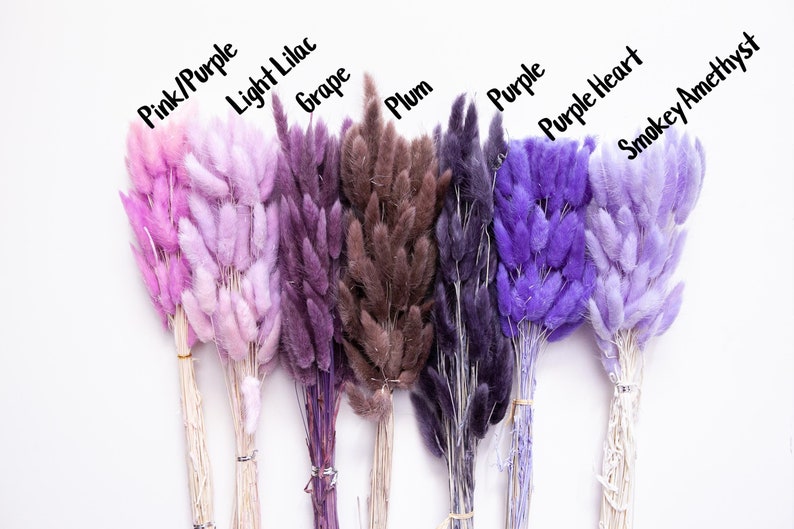 May include: Seven bundles of dried bunny tail grass in various shades of purple, pink, and brown. The bundles are labeled with the colors: Pink/Purple, Light Lilac, Grape, Plum, Purple, Purple Heart, and Smokey Amethyst.