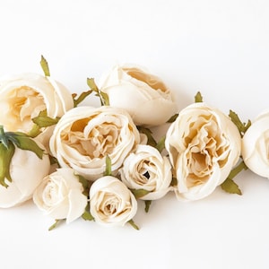 Set of 9 Small to Large Cabbage Roses in Cream - Flower Crown Supplies, Silk flowers, Artificial Flowers -read description- ITEM 1362