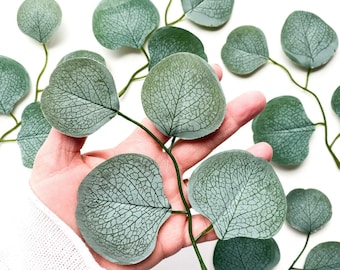 May include: A hand holding a sprig of eucalyptus leaves with a light green color and a veined texture. The leaves are arranged in a fan shape and are surrounded by other eucalyptus leaves on a white background.
