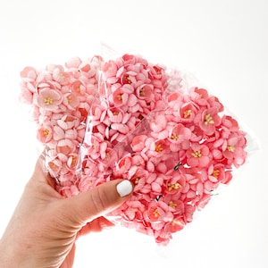 50 fiori di carta di gelso di ciliegio in toni rosa - SCEGLI IL COLORE - Fiori di ciliegio di carta, Fiori di carta, Fiori di ciliegio rosa