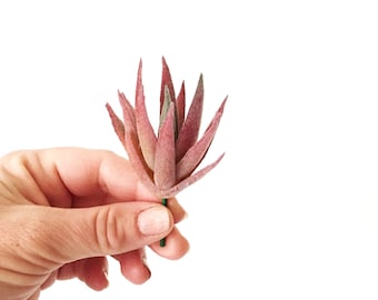 Mini Artificial Frosted Succulent in Red - Fake Plant, Air plant, Fake Succulent, Faux Succulent - ITEM 1610