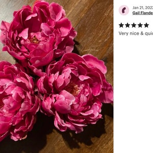Peut inclure: Trois grandes pivoines roses vibrantes dispos&eacute;es sur une surface en bois. Les pivoines sont en pleine floraison, leurs p&eacute;tales se d&eacute;ployant vers l'ext&eacute;rieur.