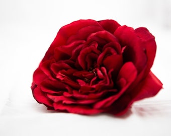 Large Red Sophia Rose - Artificial Flower, Silk Flower Heads - ITEM 008