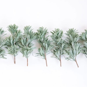 Set of 7 Artificial Succulent Bush Stems in Sage, Frosted Green -Fake succulents -Succulent, Succulents, artificial sage - ITEM 1575