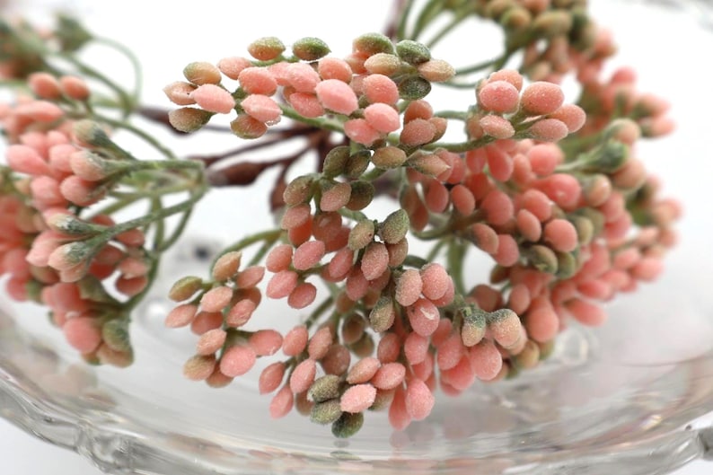 12 estambres de flores para coronas florales o arreglos florales caseros - ELIGE EL COLOR - Tallos de bayas Light Pink/Green