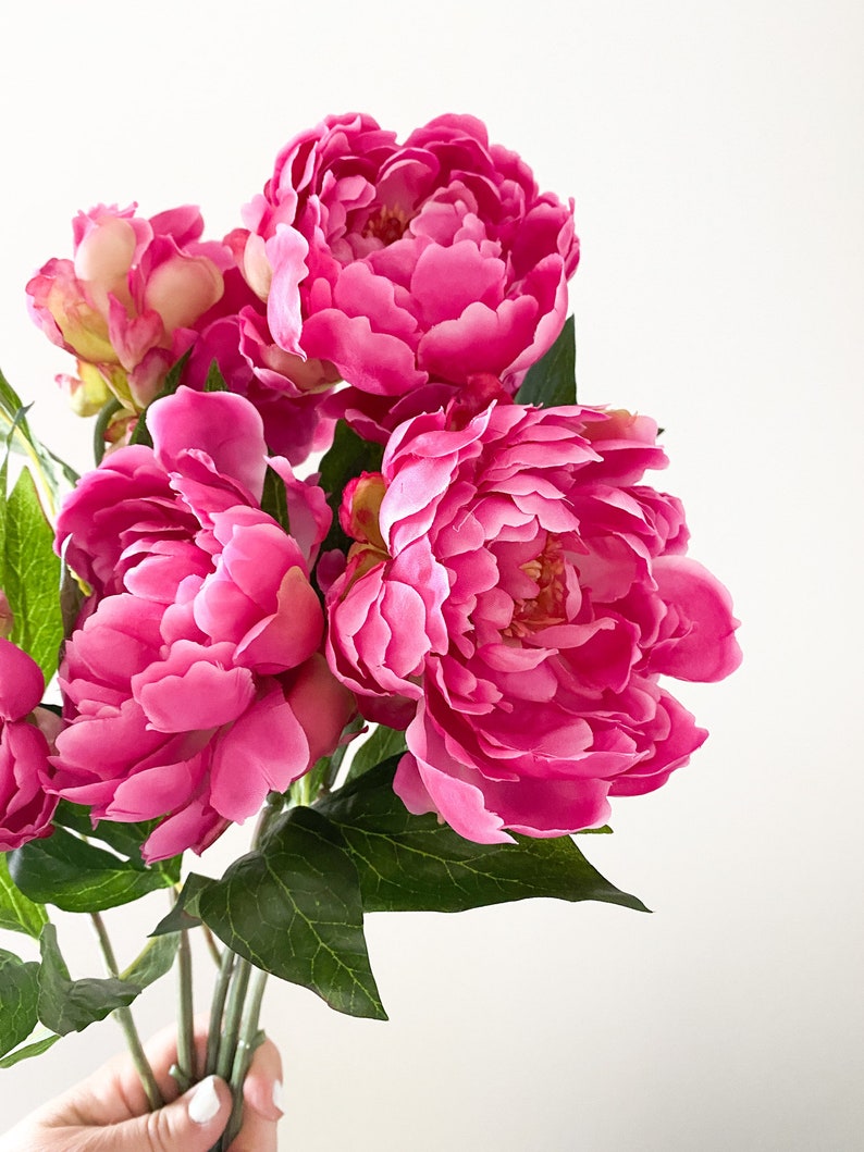 Peut inclure: Un bouquet de pivoines roses avec des feuilles vertes.